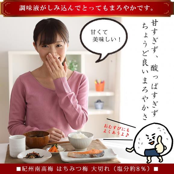 【12/5より販売開始】 訳あり 梅干し 「めちゃくちゃ潰れた 大切れ梅」 はちみつ漬け つぶれ梅 800g（ 塩分8% ほんのり甘い はちみつ梅 ）紀州南高梅 はちみつ うめぼし 梅干 国産 南高梅05