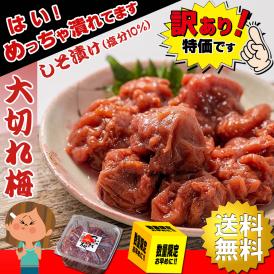 【送料無料】 紀州南高梅 梅干し 大切れ しそ梅干し しそ漬け 1kg【 塩分10％ 完熟梅 保存料無添加 】 訳あり うめぼし しそ しそ梅 しそ漬 しそ漬け つぶれ梅 梅 梅干 紀州南高梅しそ漬け