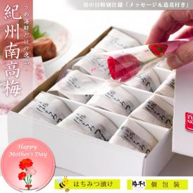 母の日 ギフト 2026 高級 梅干し はちみつ漬け 個包装 12粒【 熨斗付 】 ほんのり甘い はちみつ (塩分8%) 国産 紀州南高梅 うめぼし 梅干 梅 誕生日プレゼント お供え 御供 贈り物 