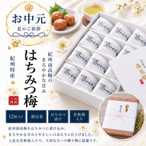 お中元 ギフト 高級 梅干し はちみつ漬け 12粒 個包装 (御中元のし付)紀州南高梅 (塩分8%) 梅干 梅 誕生日プレゼント 贈答用 うめぼし01