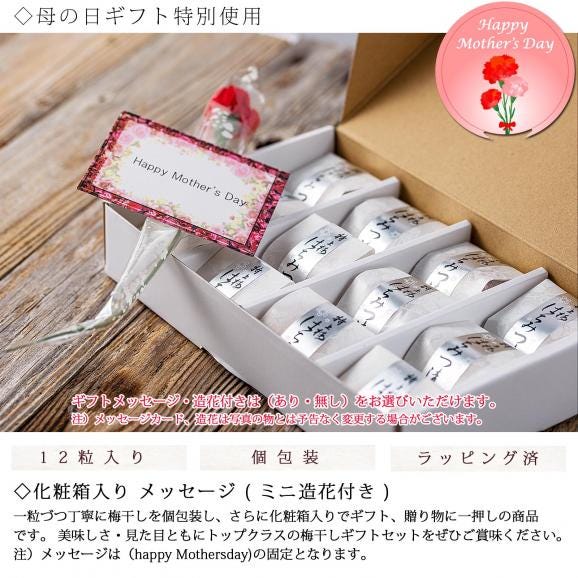 【送料無料】 母の日 ギフト 2025 高級 梅干し はちみつ漬け 個包装 12粒【 メッセージ 造花付き 】 ほんのり甘い はちみつ (塩分8%) 国産 紀州南高梅 うめぼし 梅干 梅 誕生日 プレ03