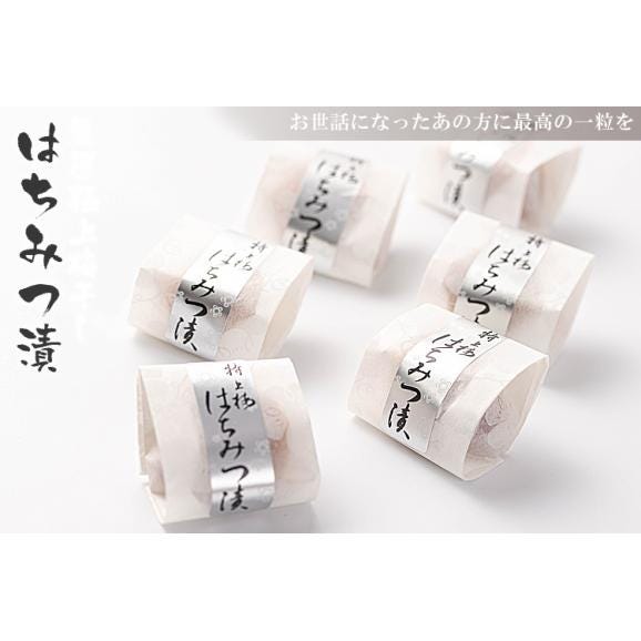 父の日 ギフト 2026 高級 梅干し はちみつ漬け 12粒 個包装  (メッセージカード 造花付）紀州南高梅 (塩分8%) 梅干 梅 誕生日プレゼント 贈答用 うめぼし05