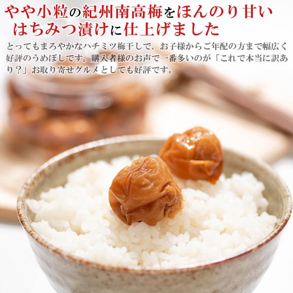 【送料無料】 梅干し はちみつ 訳あり 減塩 はちみつ梅 1kg（やや小粒のL玉サイズ） はちみつ漬け つぶれ梅 【塩分8％】 梅 梅干 紀州南高梅 はちみつ梅干し 大粒 うめぼし わけあり 国産 南02