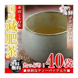 減肥茶 国産 ティーバッグ 40袋（20袋×2個）8種類ブレンド 健康茶 げんぴ茶 お茶 ギフト 水出し可能