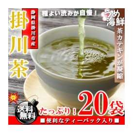 深みのあるコク♪静岡県産 掛川茶 深蒸し茶 ティーパック 20袋【送料無料】【掛川茶】【静岡茶】※代金引換不可