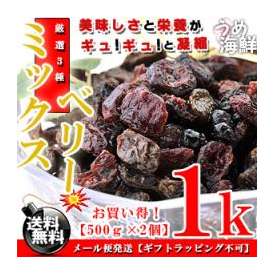 【送料無料】 ドライフルーツ ミックスベリー  1kg(500g×2個)（ レーズン ブルーベリー クランベリー 3種類ミックス ）ノンオイル ぶどう 果物 葡萄  ドライフルーツミックス