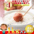 【送料無料】紀州南高梅 梅干し 無添加 白干し梅 1kg 訳あり つぶれ梅 塩分約20％ ご飯のお供 うめぼし わけあり 梅 梅干