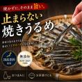 干物 国産 焼きめざし うるめいわし使用 32g×3個 無添加 塩のみ（ 焼かずにそのままどうぞ ） おつまみ 珍味 つまみ 小魚 焼めざし 焼きうるめ 食べる小魚
