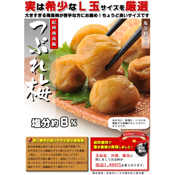 うめ海鮮 つぶれ梅 はちみつ漬け 2kg（1kg×2個）やや小粒のL玉サイズ 塩分8％ [送料無料]03
