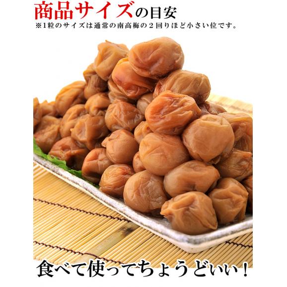 うめ海鮮 つぶれ梅 はちみつ漬け 2kg（1kg×2個）やや小粒のL玉サイズ 塩分8％ [送料無料]04