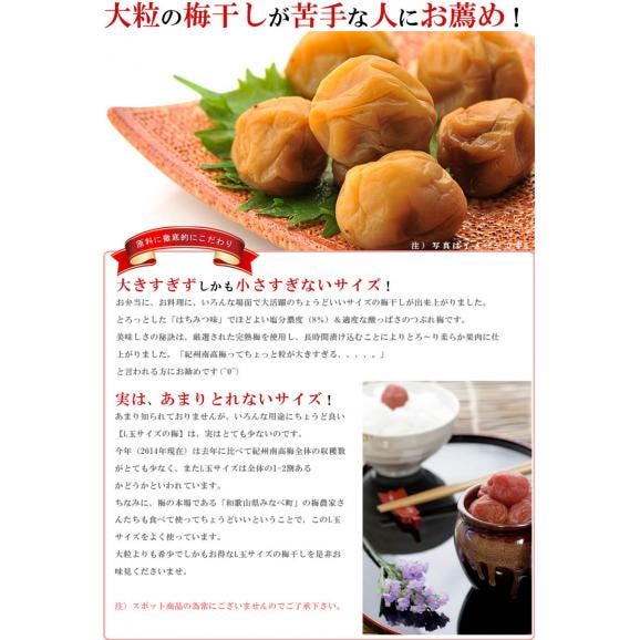 うめ海鮮 つぶれ梅 はちみつ漬け 2kg（1kg×2個）やや小粒のL玉サイズ 塩分8％ [送料無料]05