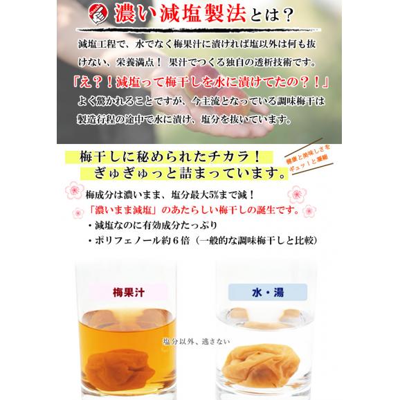 梅干し 訳あり はちみつ漬 減塩 皮切れ梅 500g【 濃い減塩製法 塩分5％】（ほんのり甘い はちみつ味 ） つぶれ梅 紀州南高梅 うめぼし 蜂蜜 梅 漬物 梅干 02