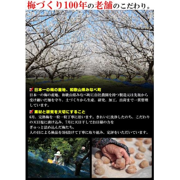 梅干し 訳あり はちみつ漬 減塩 皮切れ梅 500g【 濃い減塩製法 塩分5％】（ほんのり甘い はちみつ味 ） つぶれ梅 紀州南高梅 うめぼし 蜂蜜 梅 漬物 梅干 03