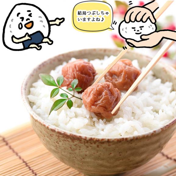 梅干し 訳あり はちみつ漬 減塩 皮切れ梅 500g【 濃い減塩製法 塩分5％】（ほんのり甘い はちみつ味 ） つぶれ梅 紀州南高梅 うめぼし 蜂蜜 梅 漬物 梅干 06