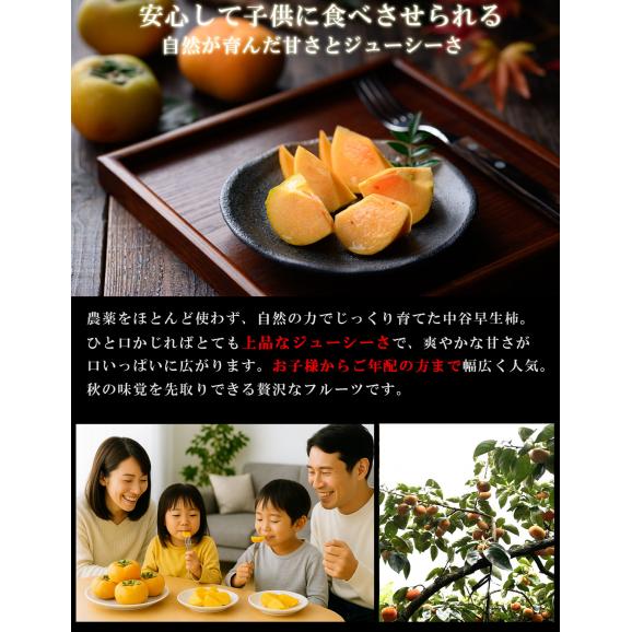柿 和歌山県産 ほぼ無農薬 種なし柿 中谷柿（中谷早生柿） 渋抜き済み 約1kg（7〜8玉 M〜2L混在） 産地直送 フルーツ 03