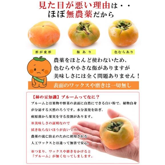 柿 和歌山県産 ほぼ無農薬 種なし柿 中谷柿（中谷早生柿） 渋抜き済み 約1kg（7〜8玉 M〜2L混在） 産地直送 フルーツ 06