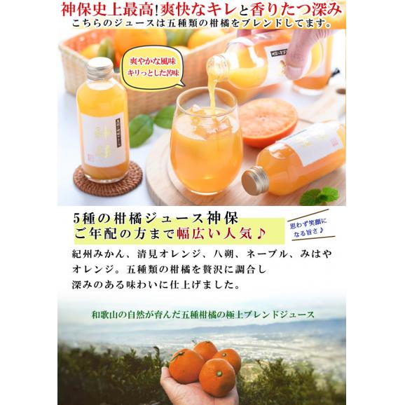 みかんジュース 5種類の柑橘ブレンド 神保（180ml×6本）瓶 ストレート 和歌山県産 果汁100％ みかん ジュース 無添加 減農薬 ブレンド 農家直送 ギフト02