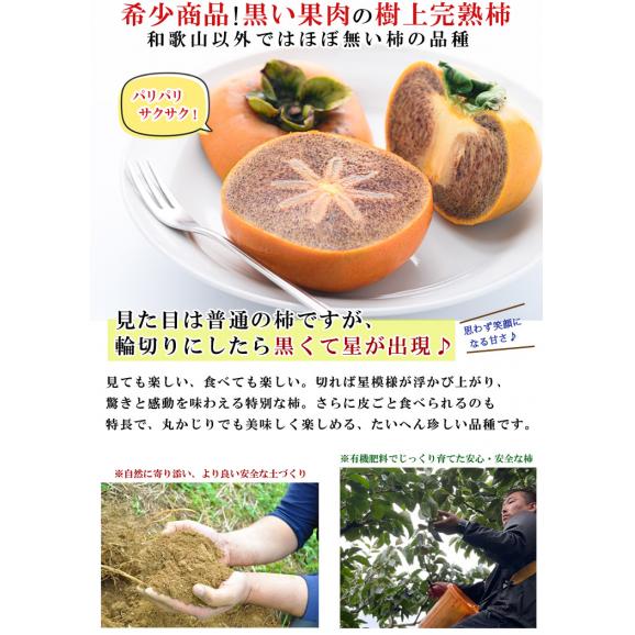 柿 和歌山県産 紀ノ川柿 ブラックスター （ 黒星柿 ） 約1kg（M〜3L混在 不選別）ほぼ無農薬 たねなし柿 種なし柿 渋抜き済み かき 産地直送 予約02