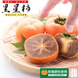 柿 和歌山県産 紀ノ川柿 ブラックスター （ 黒星柿 ） 約2kg（M〜3L混在 不選別）ほぼ無農薬 たねなし柿 種なし柿 渋抜き済み かき 産地直送 予約