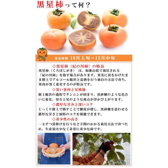 柿 和歌山県産 紀ノ川柿 ブラックスター （ 黒星柿 ） 約2kg（M〜3L混在 不選別）ほぼ無農薬 たねなし柿 種なし柿 渋抜き済み かき 産地直送 予約03