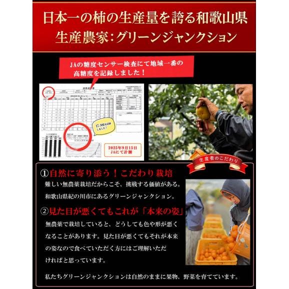 柿 和歌山県産 紀ノ川柿 ブラックスター （ 黒星柿 ） 約2kg（M〜3L混在 不選別）ほぼ無農薬 たねなし柿 種なし柿 渋抜き済み かき 産地直送 予約04