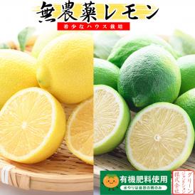 ハウス栽培 レモン無農薬 青レモン ハウスレモン ノーワックス