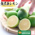 無農薬レモン 和歌山県産 レモン 約1kg グリーンレモン ハウス栽培（10個前後 サイズ不選別）有機栽培 オーガニック 国産 れもん 国産レモン 無農薬 産地直送