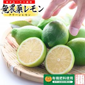 無農薬レモン 和歌山県産 レモン 約1kg グリーンレモン ハウス栽培（10個前後 サイズ不選別）有機栽培 オーガニック 国産 れもん 国産レモン 無農薬 産地直送