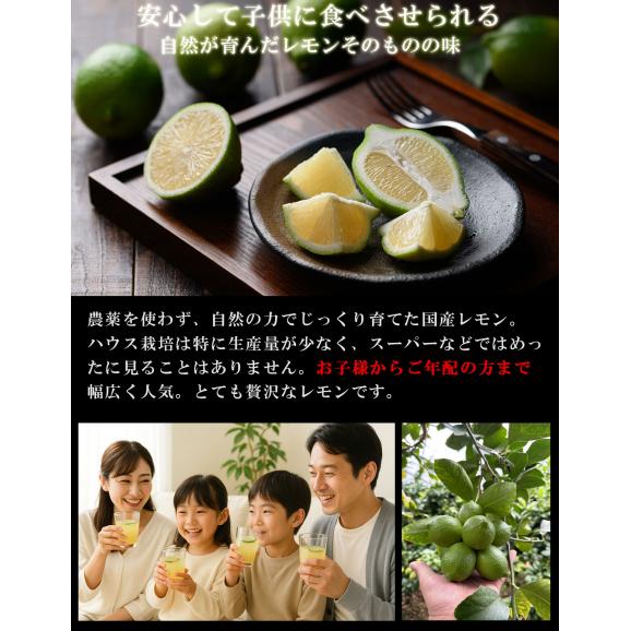 無農薬レモン 和歌山県産 レモン 約1kg グリーンレモン ハウス栽培（10個前後 サイズ不選別）有機栽培 オーガニック 国産 れもん 国産レモン 無農薬 産地直送05