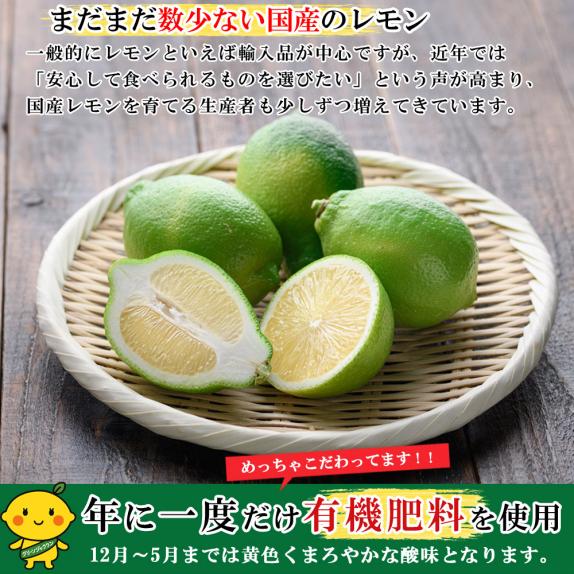 無農薬レモン 和歌山県産 レモン 約1kg レモン ハウス栽培（10個前後