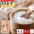 米 和歌山県産 新米 きぬむすめ 1kg（減農薬 農薬9割減 化学肥料 除草剤不使用）有機肥料使用（令和7年産 白米） お米 こめ コメ 精米 精白米 ギフト