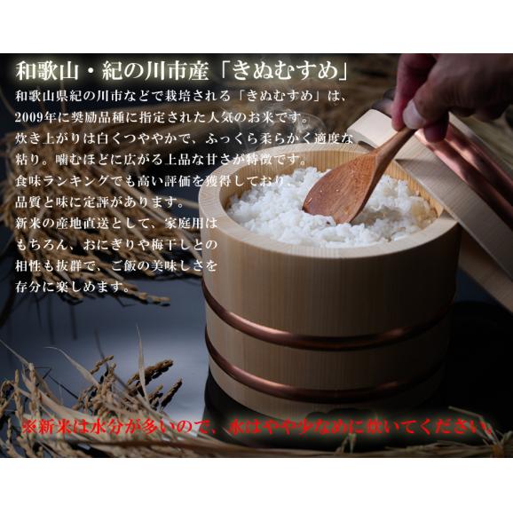 米 和歌山県産 新米 きぬむすめ 1kg（減農薬 農薬9割減 化学肥料 除草剤不使用）有機肥料使用（令和7年産 白米） お米 こめ コメ 精米 精白米 ギフト03