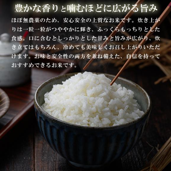 米 和歌山県産 新米 きぬむすめ 1kg（減農薬 農薬9割減 化学肥料 除草剤不使用）有機肥料使用（令和7年産 白米） お米 こめ コメ 精米 精白米 ギフト06