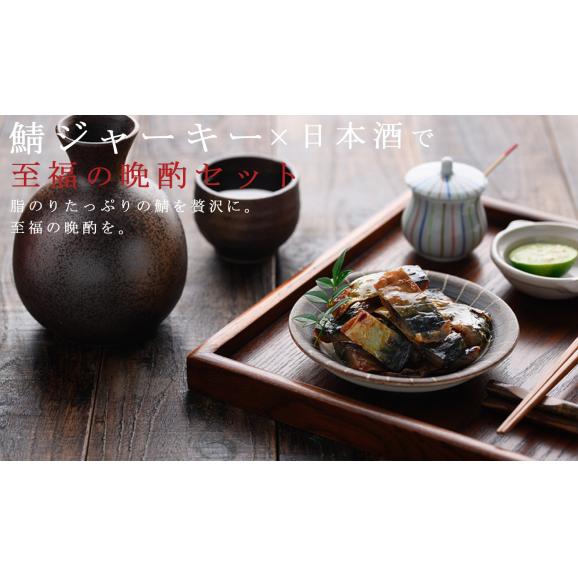 【新商品！】やみつき おつまみ 炙り鯖ジャーキー（国産さば使用 90g チャック付き袋）焼鯖 サバ さば おやつ 魚 ジャーキー 珍味 酒の肴 フィッシュジャーキー 晩酌 直火焼05