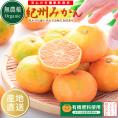 みかん 無農薬 和歌山県産 ( 有機 みかん サイズ不選別)5kg 紀州みかん 有機肥料栽培 和歌山 ミカン ノーワックス 柑橘 果物 フルーツ 産地直送 ギフト