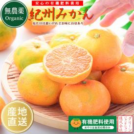 みかん 無農薬 和歌山県産 （ 有機 みかん サイズ不選別）10kg 紀州みかん 有機肥料栽培 和歌山 ミカン ノーワックス 柑橘 果物 フルーツ 産地直送 ギフト
