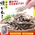 国産 焼きいわし 55g 無添加 無塩(食塩不使用)干物 かたくちいわし 低温乾燥後 香ばしく焼き上げました 小魚 珍味 おつまみ おやつ