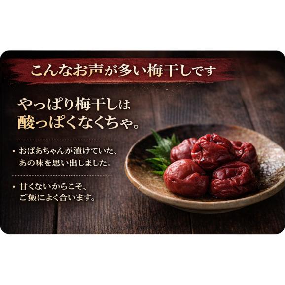 梅干し 無添加 しそ漬け しそ梅干し 訳あり 200g（塩分15% しそも美味しい 国産赤紫蘇仕込み） 昔ながらの酸っぱい梅干し 紫蘇梅干し 紀州南高梅 メール便02