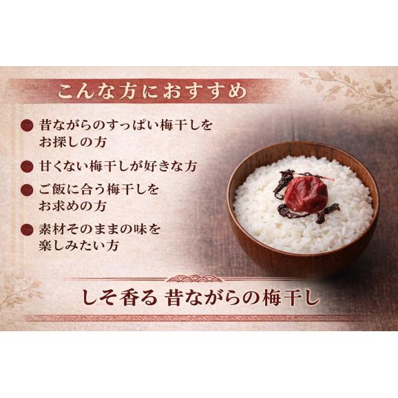 梅干し 無添加 しそ漬け しそ梅干し 訳あり 200g（塩分15% しそも美味しい 国産赤紫蘇仕込み） 昔ながらの酸っぱい梅干し 紫蘇梅干し 紀州南高梅 メール便04
