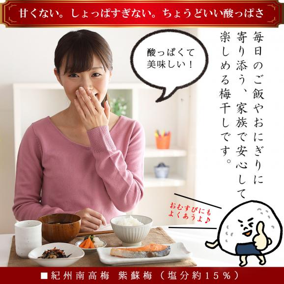 梅干し 無添加 しそ漬け しそ梅干し 訳あり 200g（塩分15% しそも美味しい 国産赤紫蘇仕込み） 昔ながらの酸っぱい梅干し 紫蘇梅干し 紀州南高梅 メール便06