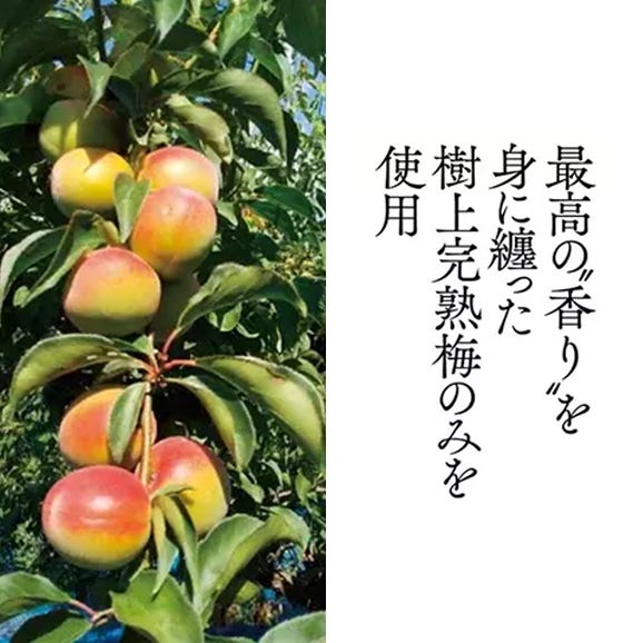 雪室熟成梅酒「REKISHI」03