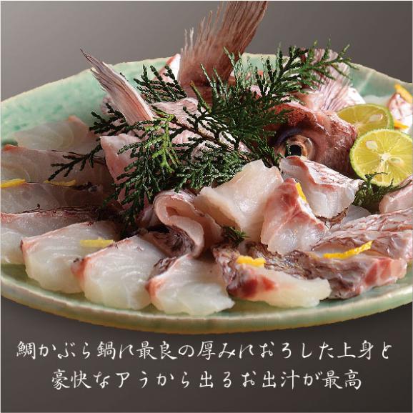 【2人前】明石天然鯛の鯛蕪鍋【送料無料】03