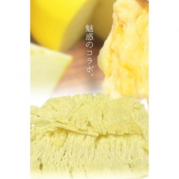 とろ～りチーズ ふんわりイカ 訳あり 破格値 180g メガ盛り チーズいか のしいか 珍味 酒の肴 在宅 おつまみ 家飲み メール便02