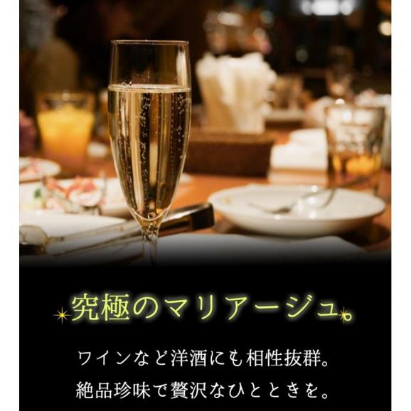 とろ～りチーズ ふんわりイカ 訳あり 破格値 180g メガ盛り チーズいか のしいか 珍味 酒の肴 在宅 おつまみ 家飲み メール便04