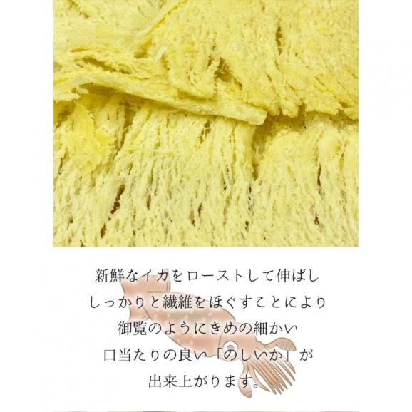 とろ～りチーズ ふんわりイカ 訳あり 破格値 180g メガ盛り チーズいか のしいか 珍味 酒の肴 在宅 おつまみ 家飲み メール便06