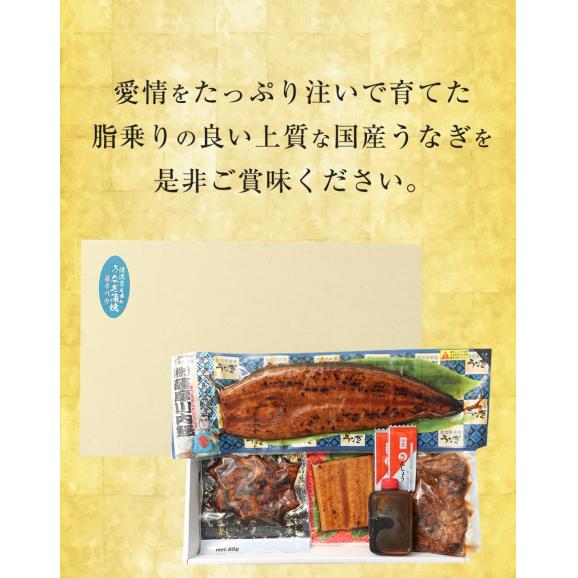 薩摩川内 国産 うなぎ蒲焼 詰合せセット ウナギ 鰻 土用丑の日 鹿児島 母の日 父の日 敬老 ギフト 歳暮04