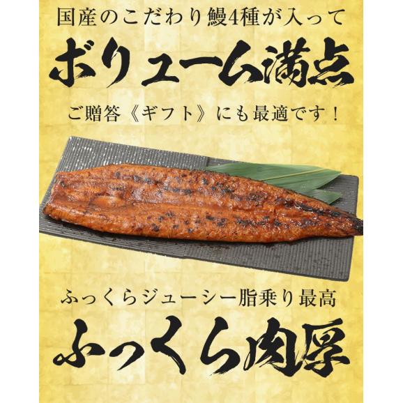 薩摩川内 国産 うなぎ蒲焼 詰合せセット ウナギ 鰻 土用丑の日 鹿児島 母の日 父の日 敬老 ギフト 歳暮05