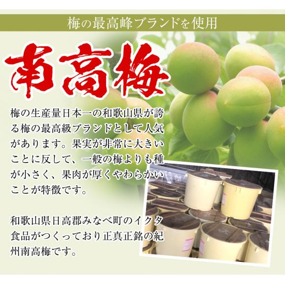 紀州南高梅はちみつ梅 700g 送料無料 梅干し つぶれ梅 メール便02