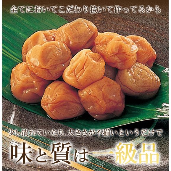 紀州南高梅はちみつ梅 700g 送料無料 梅干し つぶれ梅 メール便06
