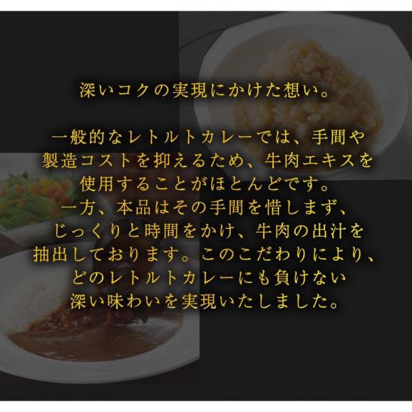 食研カレー 日本食研 1kg×12袋 欧風ビーフカレー ケース販売 業務用 大容量 レトルト 徳用04